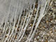 Eine Feder im Sand