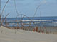 Dne am Strand von Ameland