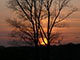 Sonnenuntergang auf dem Westerberg 4