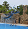 Delfin-Show im Loro Parque
